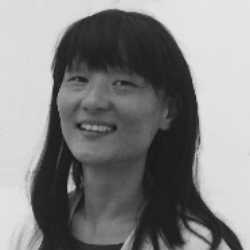 Shim Meijer